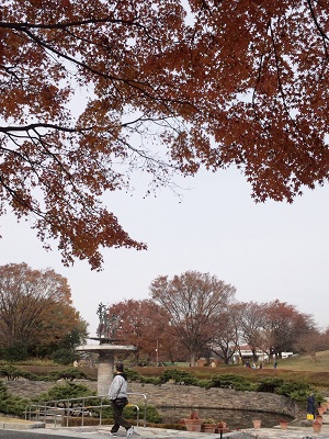b0199924_1323435.jpg