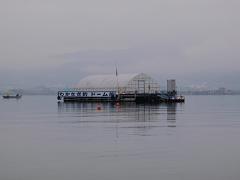 f0022024_10133540.jpg