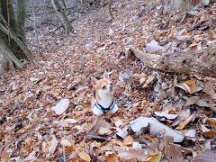 f0022024_10413311.jpg