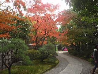 b0008825_1051368.jpg