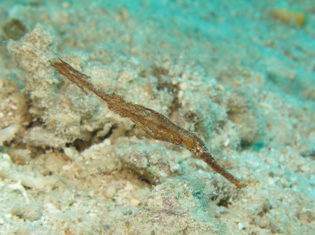 b0100730_2117440.jpg