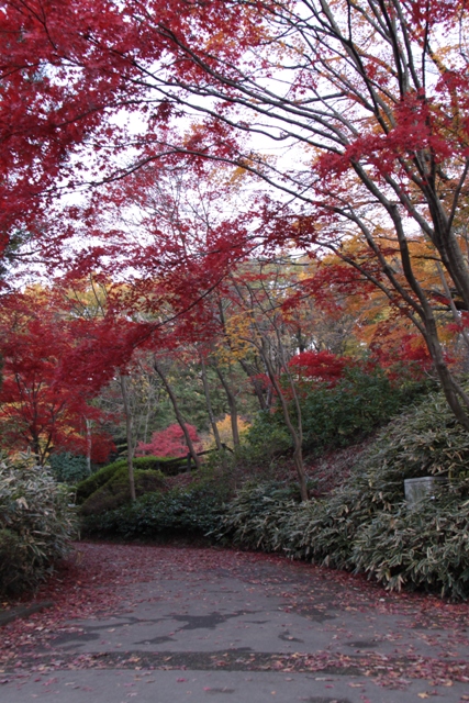 f0217933_2241537.jpg