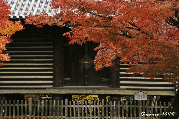a0212036_9225576.jpg