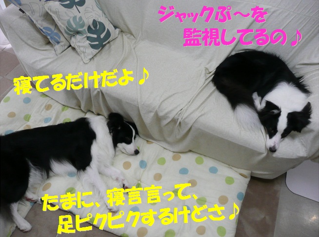 c0147241_17533798.jpg