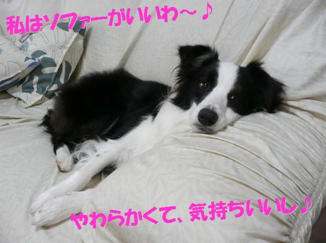 c0147241_17534563.jpg