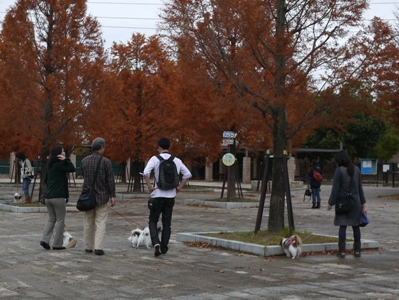 e0100046_17181556.jpg