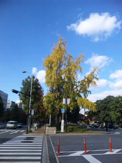 c0145449_14243310.jpg