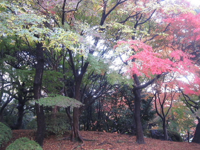 d0063149_2019219.jpg