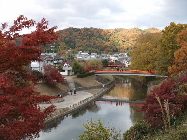 f0068649_1859597.jpg