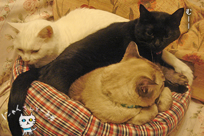 e0031853_0153279.jpg