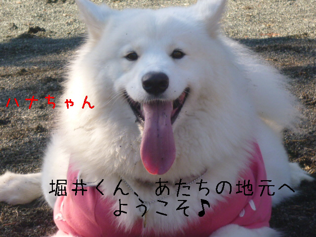 a0166954_22321128.jpg