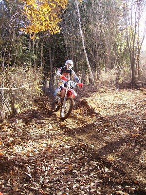 c0042655_2330750.jpg