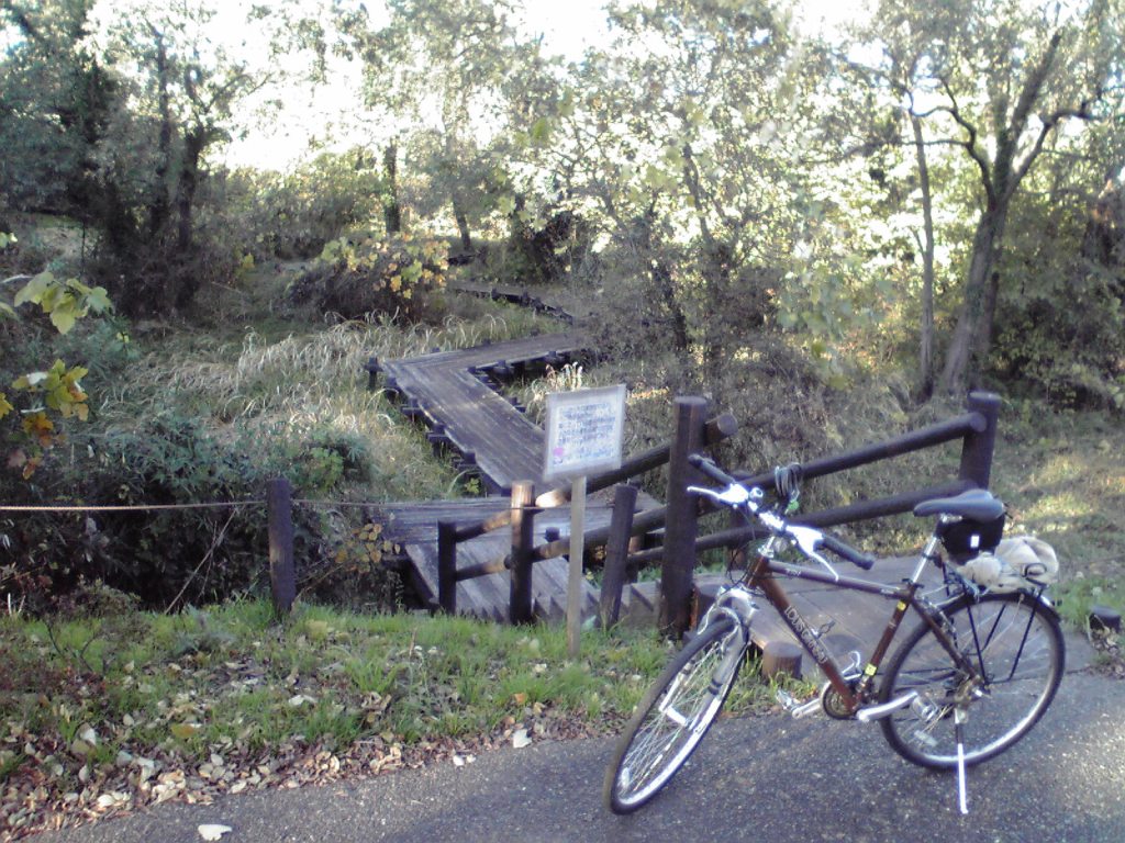f0057955_17544332.jpg
