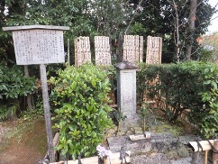 e0028056_1124299.jpg
