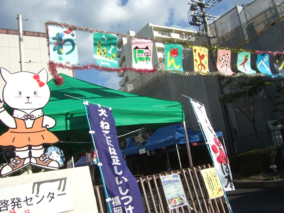 c0031157_22241517.jpg