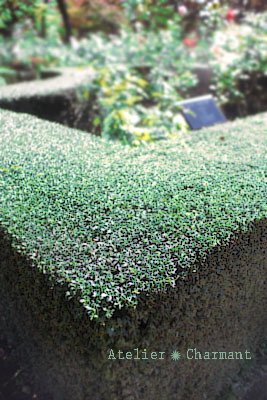 f0229759_1758482.jpg