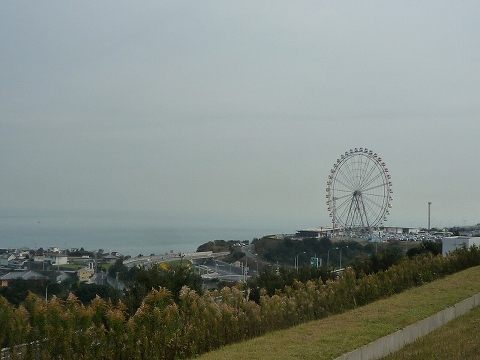 b0145863_0572893.jpg
