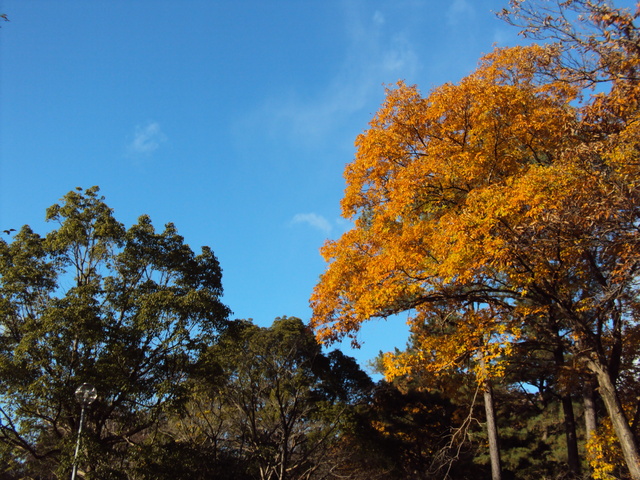 c0099564_175392.jpg