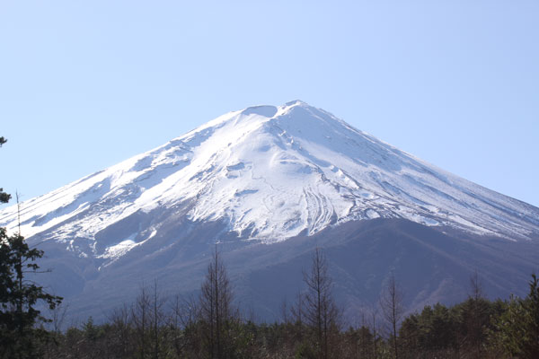 f0107364_2342314.jpg