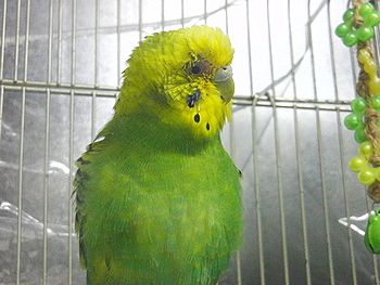 f0196665_011860.jpg