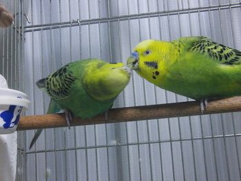 f0196665_082120.jpg