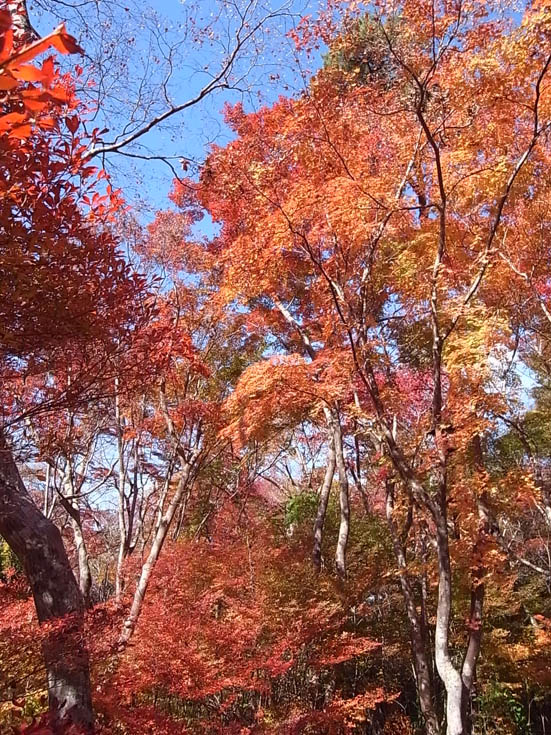b0051666_13313556.jpg