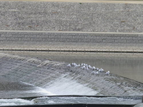 e0143671_11334196.jpg
