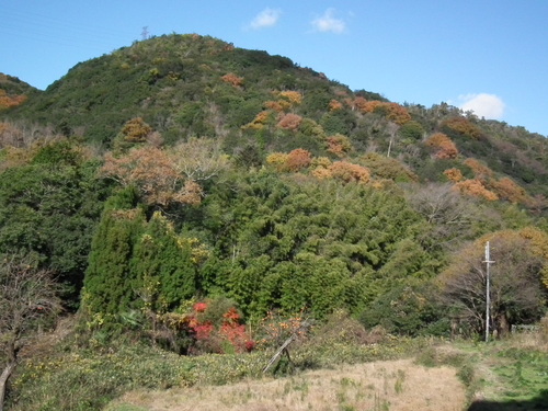 c0019376_19361216.jpg