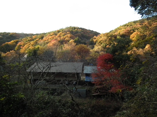 c0019376_19385737.jpg