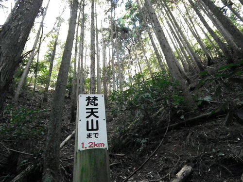 c0019376_19481077.jpg