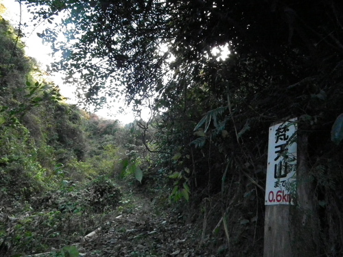 c0019376_19522728.jpg