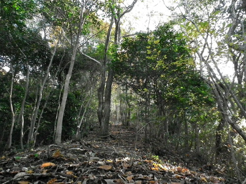 c0019376_1956096.jpg