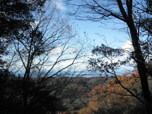 c0019376_19573758.jpg