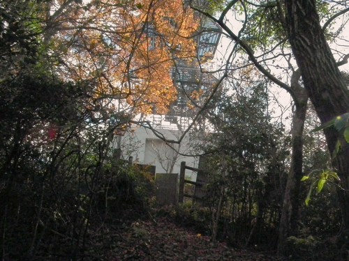 c0019376_2004327.jpg