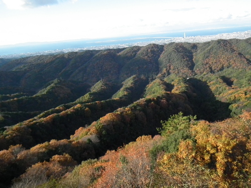 c0019376_20211442.jpg