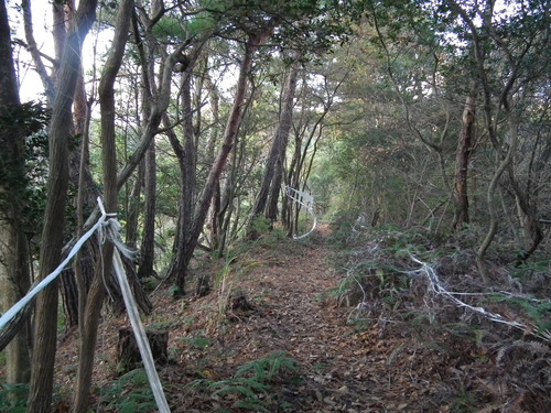 c0019376_20373528.jpg