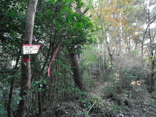 c0019376_204395.jpg