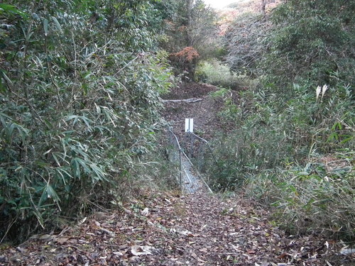 c0019376_20491386.jpg