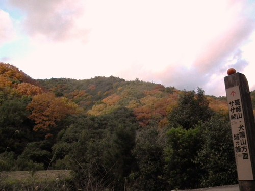 c0019376_20575125.jpg