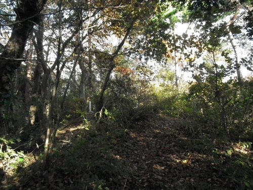 c0019376_2083746.jpg