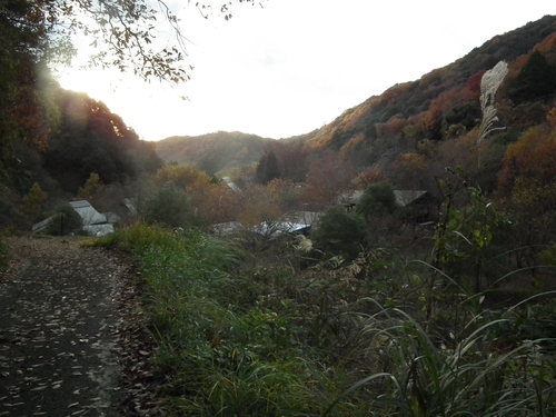 c0019376_2153756.jpg