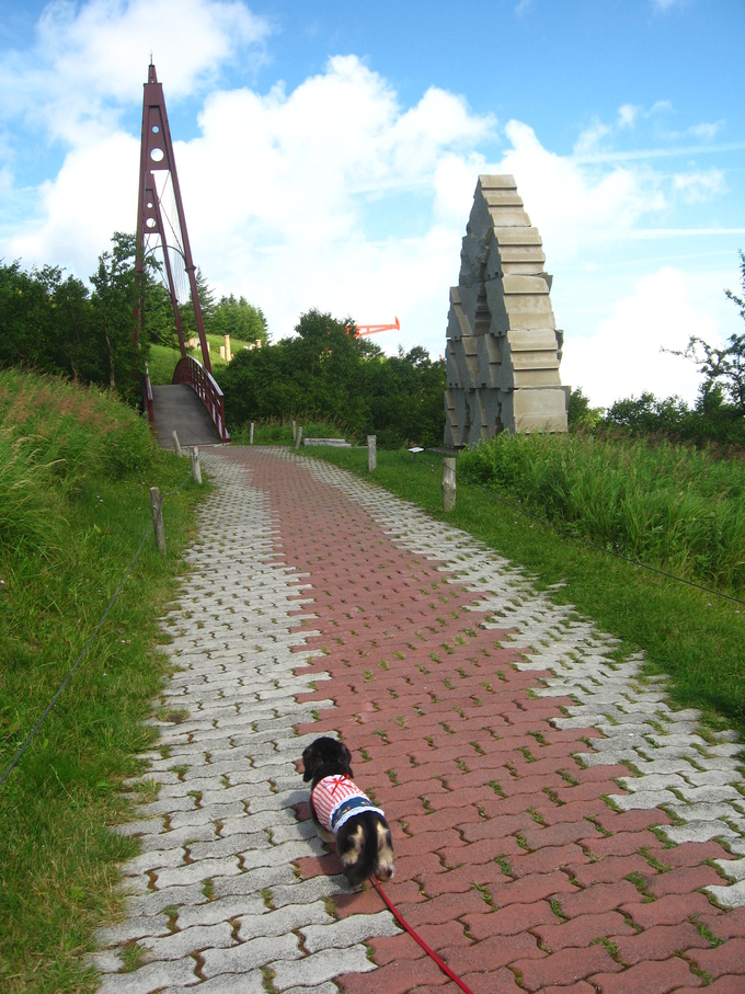d0143284_5102690.jpg
