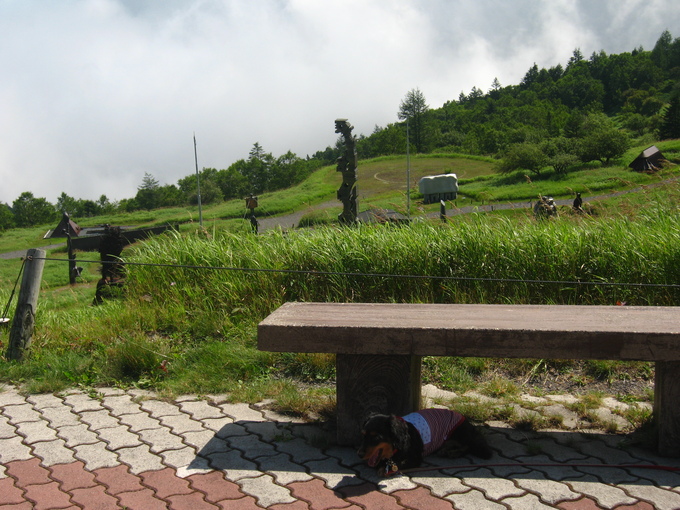 d0143284_51795.jpg