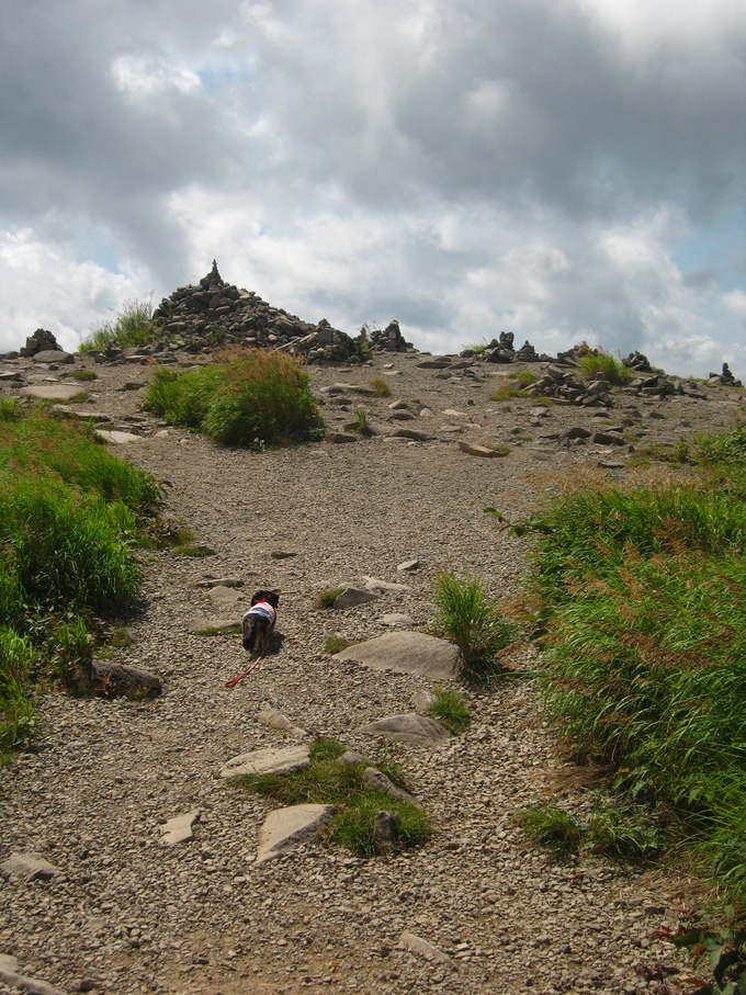 d0143284_525260.jpg