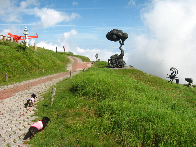 d0143284_575950.jpg