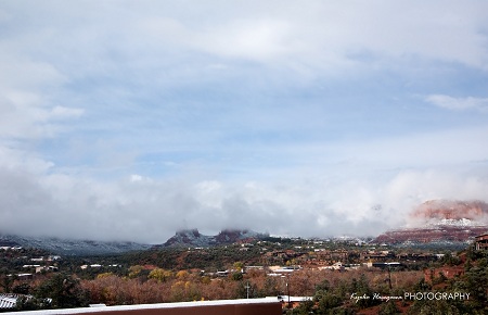 e0148185_1174545.jpg