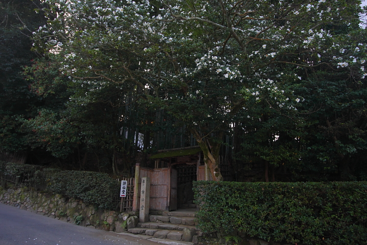 e0051888_0203550.jpg