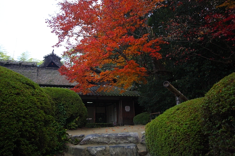 e0051888_0231685.jpg