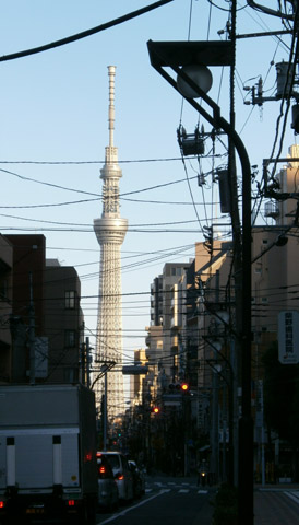 d0000995_202513100.jpg