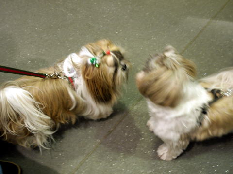 c0090198_212115.jpg